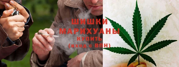 индика Лабытнанги