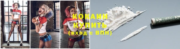 крисы Лагань