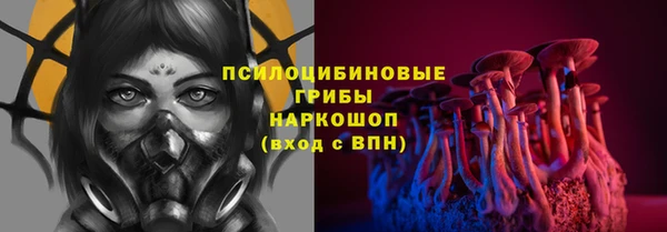 индика Лабытнанги
