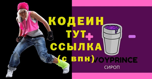 индика Лабытнанги