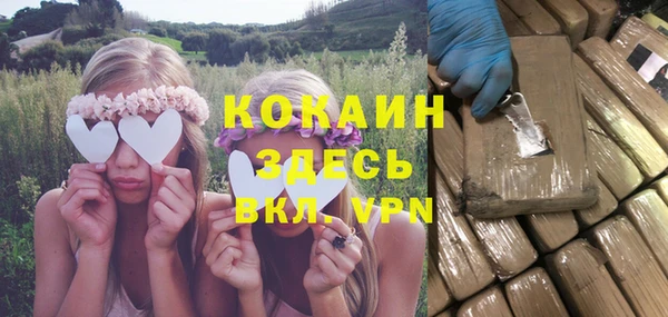 крисы Лагань