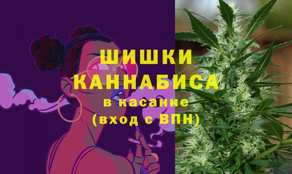 индика Лабытнанги