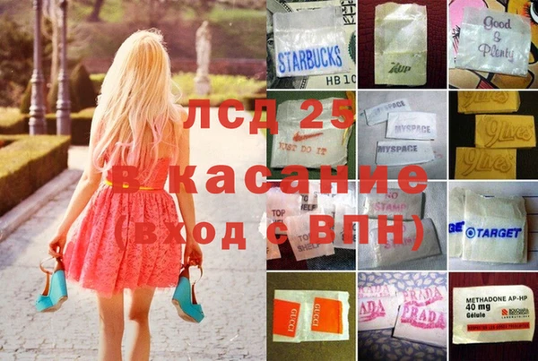 индика Лабытнанги