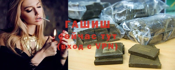 индика Лабытнанги