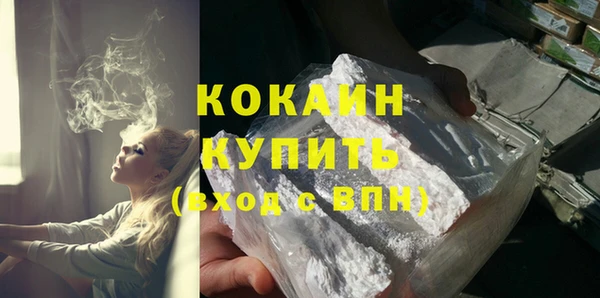крисы Лагань