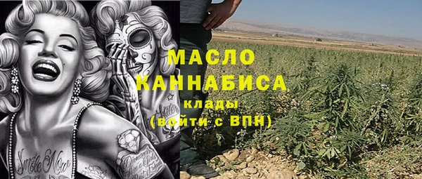 индика Лабытнанги