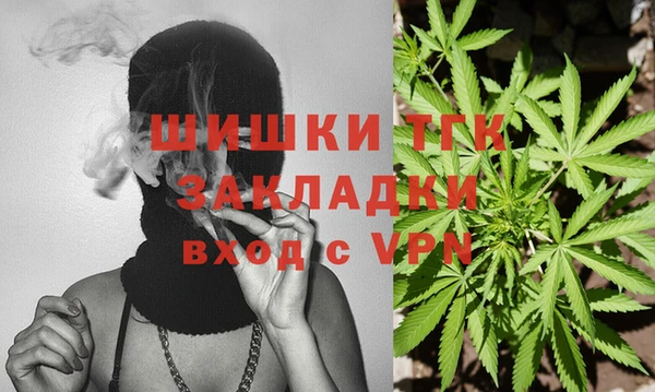 крисы Лагань